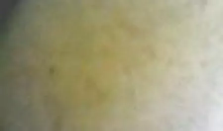 دو ادرس کانال شهوانی پیرمرد در دو تنه زن شرجی را لعنتی می کنند