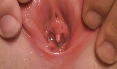 سبزه پنج غرفه خفن کده تلگرام به ارگاسم آورد